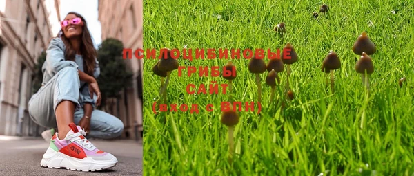 дживик Киреевск