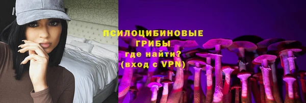 мдпв Кинешма