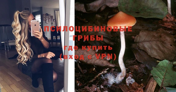 дживик Киреевск